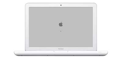 MacBook 13" A1342