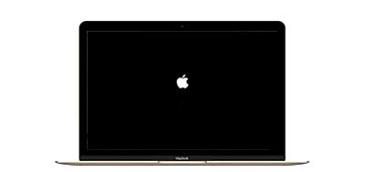MacBook 12 A1534 
